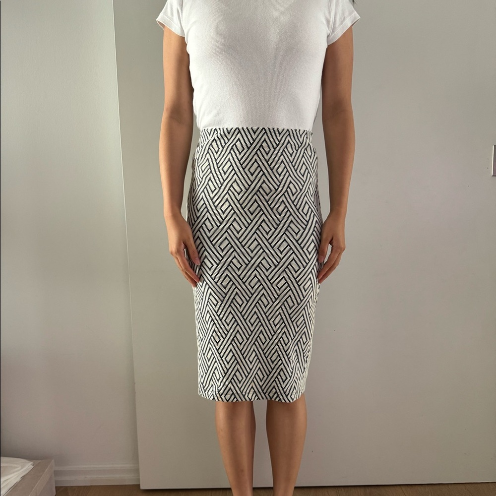 Zara skirt